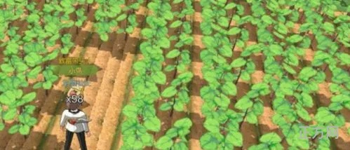 小森生活止风草刷新时间