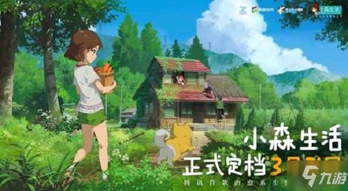 小森生活自宅外观换新攻略