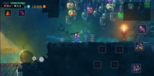 重生细胞陈列室地址揭秘