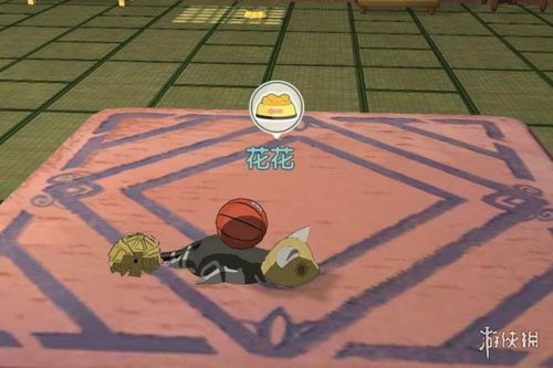 小森生活野猫喂养指南