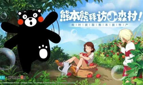 小森生活野猫喂养指南