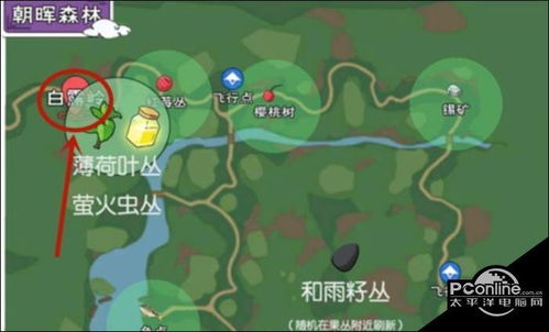 小森生活矿洞位置攻略 矿洞资源分布图解析