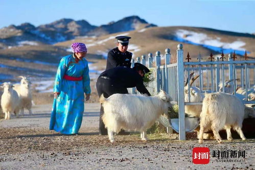 小森生活水牦牛位置揭秘