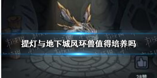 提灯与地下城风环兽：培养价值解析