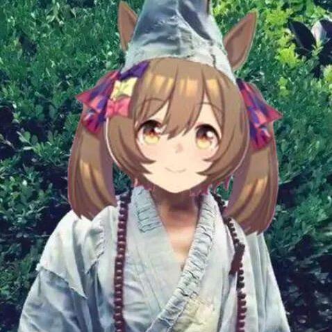 赛马娘S卡攻略：前期高效使用技巧