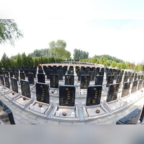 老农种树果树之心使用技巧攻略