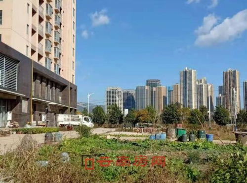 烧脑大师108关解答：最大洲洲际揭秘