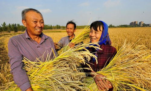 老农送树籽邻居赠法