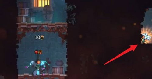 重生细胞壁垒出口位置揭秘