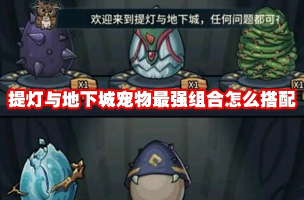 提灯地下城宠物进化攻略，进化方法详解