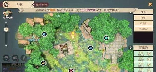 梦想新大陆石板考古地点揭秘