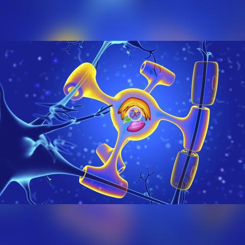 重生细胞符文攻略：探险家必备技巧