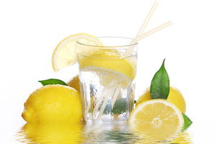 烧脑大师第40关过法揭秘：柠檬藏杯位置揭晓