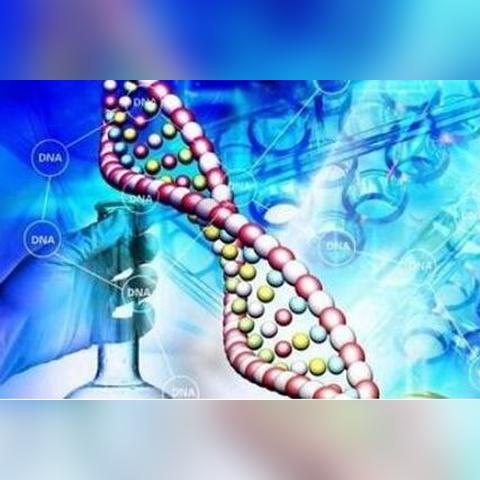 重生细胞皮肤获取攻略 皮肤解锁方法汇总