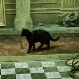 烧脑大师17关猫咪消失攻略