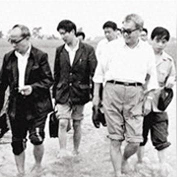 老农种树玩法攻略 新手必看技巧