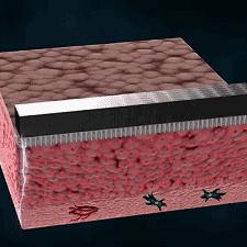 重生细胞起源细胞使用攻略详解