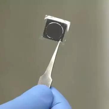 重生细胞出生点开门法揭秘