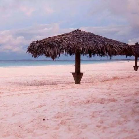 梦想新大陆神秘宝箱获取攻略