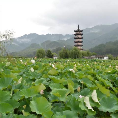 江南百景图十里灯街获取攻略
