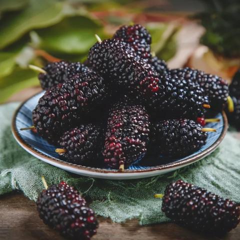 元素方尖暗号大全2021兑换码分享