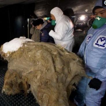 重生细胞宝箱诅咒破解法