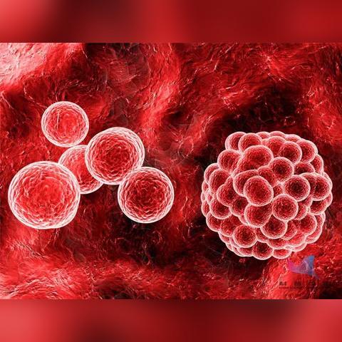 重生细胞变异揭秘：角色变异系统全解析