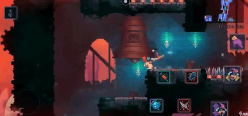 重生细胞挠挠功效解析