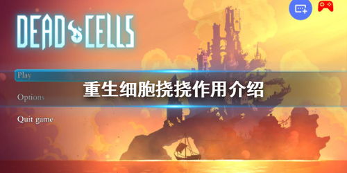 重生细胞挠挠功效解析