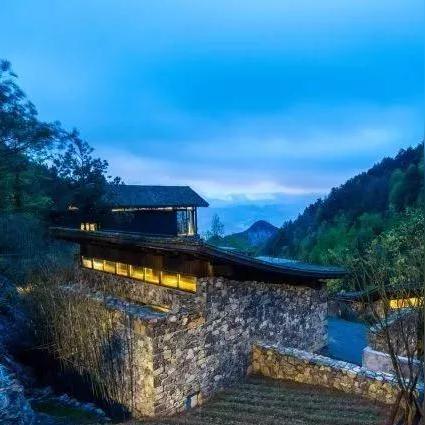 重生细胞疏离功效解析