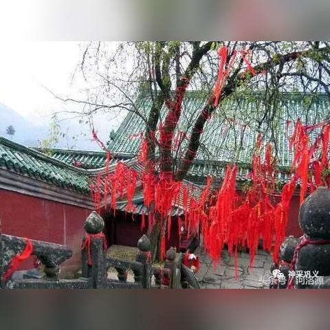 《梦想新大陆祭祀任务攻略：奇遇完成技巧》