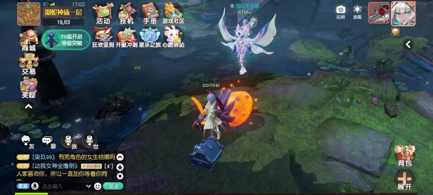 梦想新大陆宝藏之谜