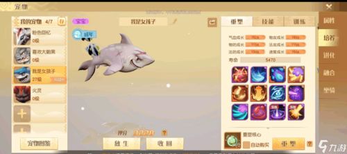 梦想新大陆宠物装备卸载技巧 装备取下方法