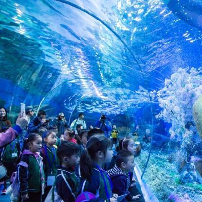 樱花校园模拟器美人鱼位置揭秘