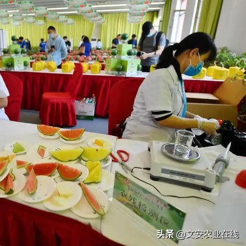 合成大西瓜合成公式大全：双瓜进阶攻略