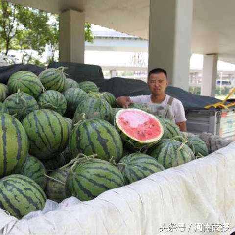 合成大西瓜合成公式大全：双瓜进阶攻略