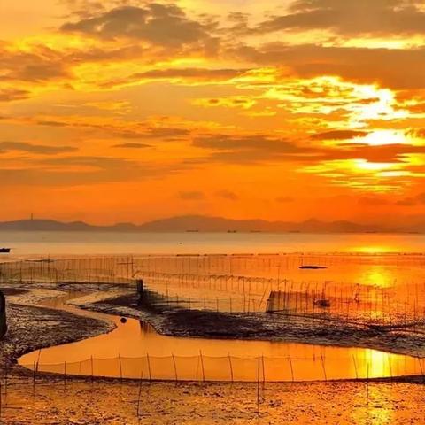 烟雨江湖野狼谷落霞镇支线任务攻略