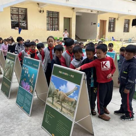 梦想新大陆金币获取攻略