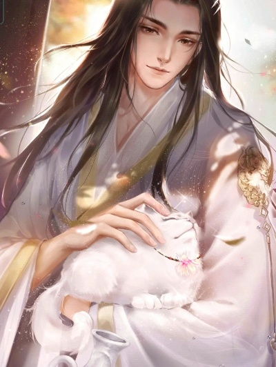 灵猫传布煤攻略：属性解析