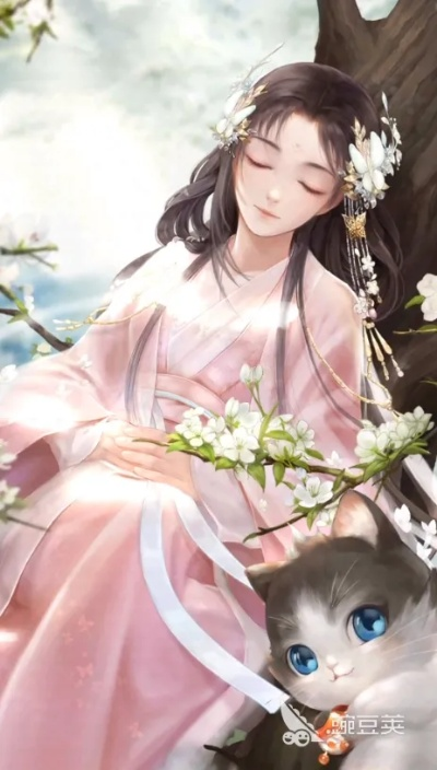 灵猫传橘又又攻略：属性解析