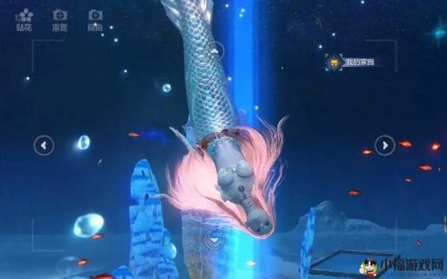 妄想山海鱼缸制作图纸获取方法攻略