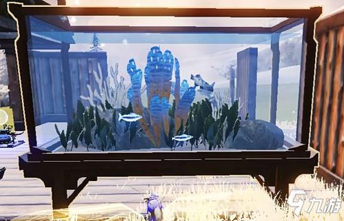 妄想山海鱼缸养鱼攻略：鱼缸养鱼技巧全解析