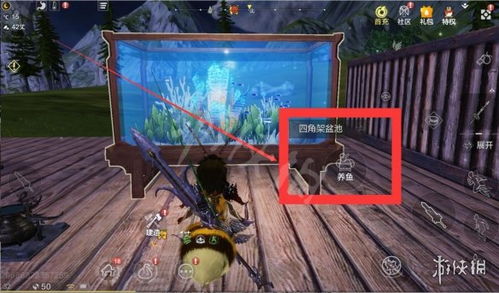 妄想山海鱼缸养鱼攻略：鱼缸养鱼技巧全解析