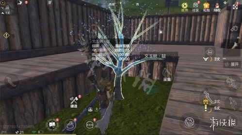 妄想山海暮雪树枝获取攻略