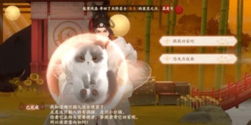 《忘川风华录》猫咪结亲攻略