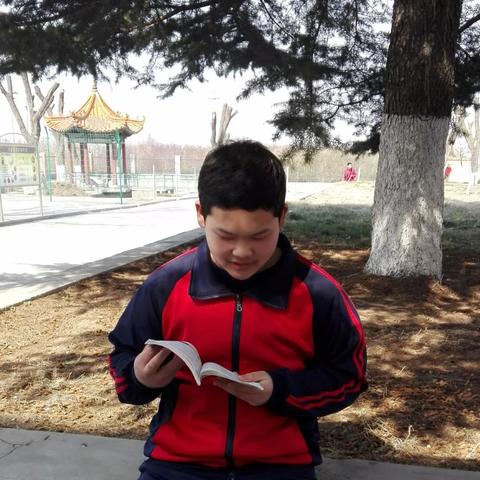 成语红包群第117关攻略揭秘