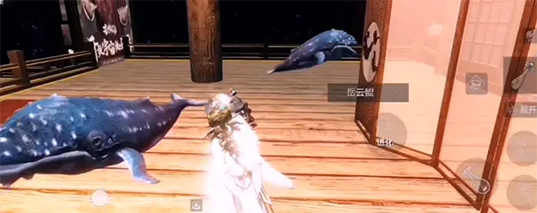 妄想山海寒冥鲲进化路径揭秘，寒冥鲲二次进化攻略