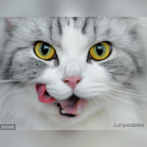 四叶草剧场赛克迈特角色属性立绘图鉴