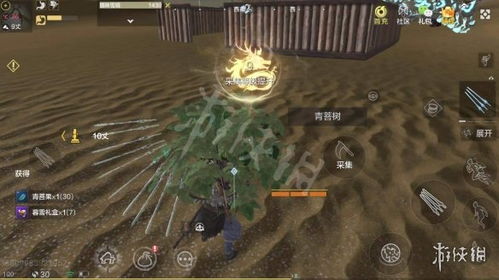 妄想山海暮雪商店位置