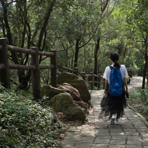 四叶草剧场许愿选谁？最强角色盘点